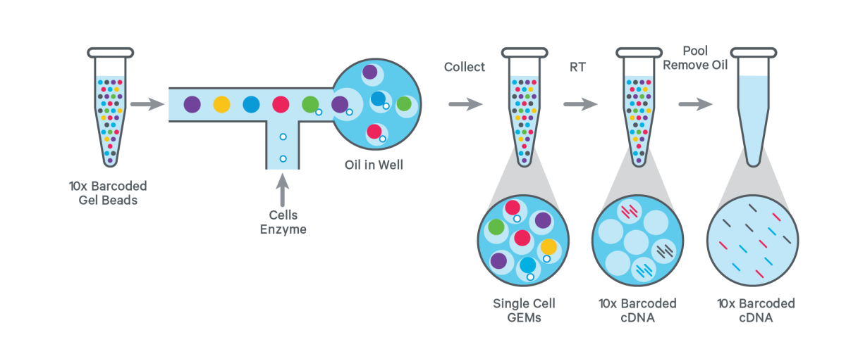 Sequencing Technologies