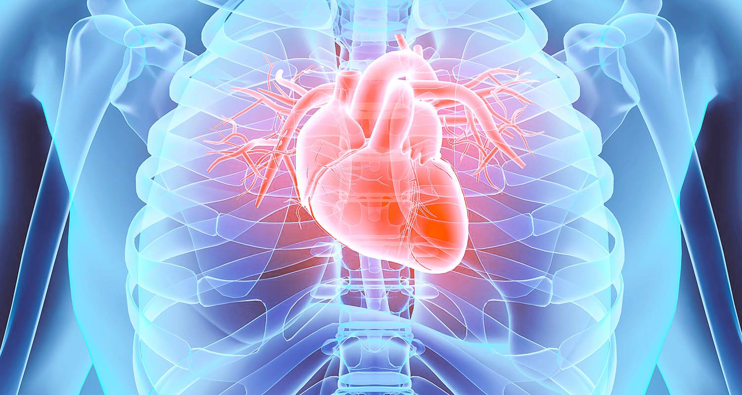 Keyvisual Herzerkrankungen